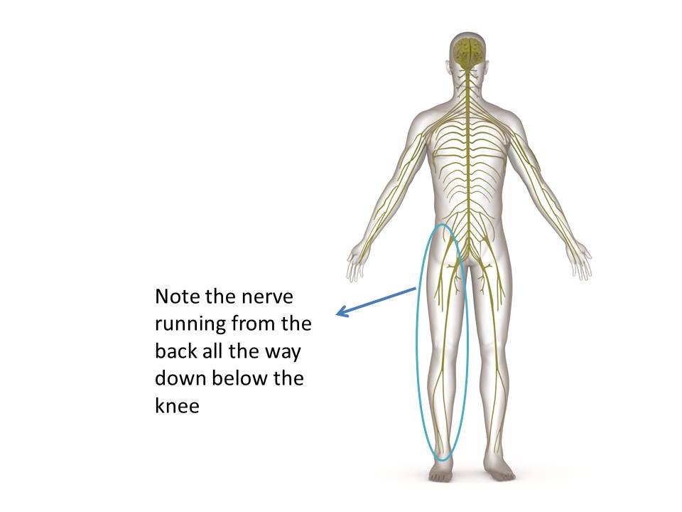 Knee Pain Physiotherapy