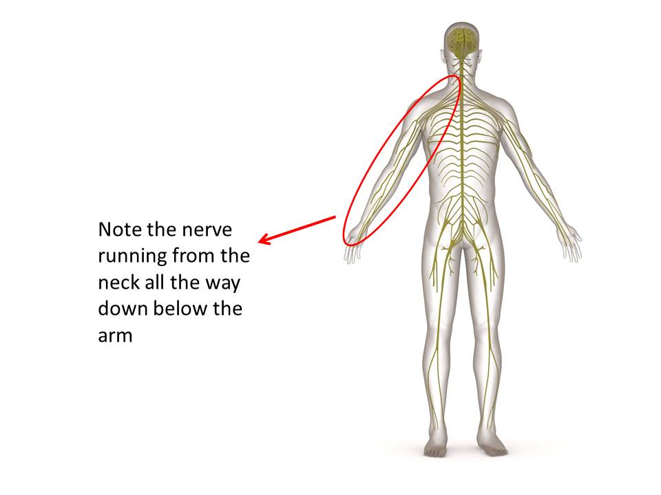 shoulder-pain-physiotherapy