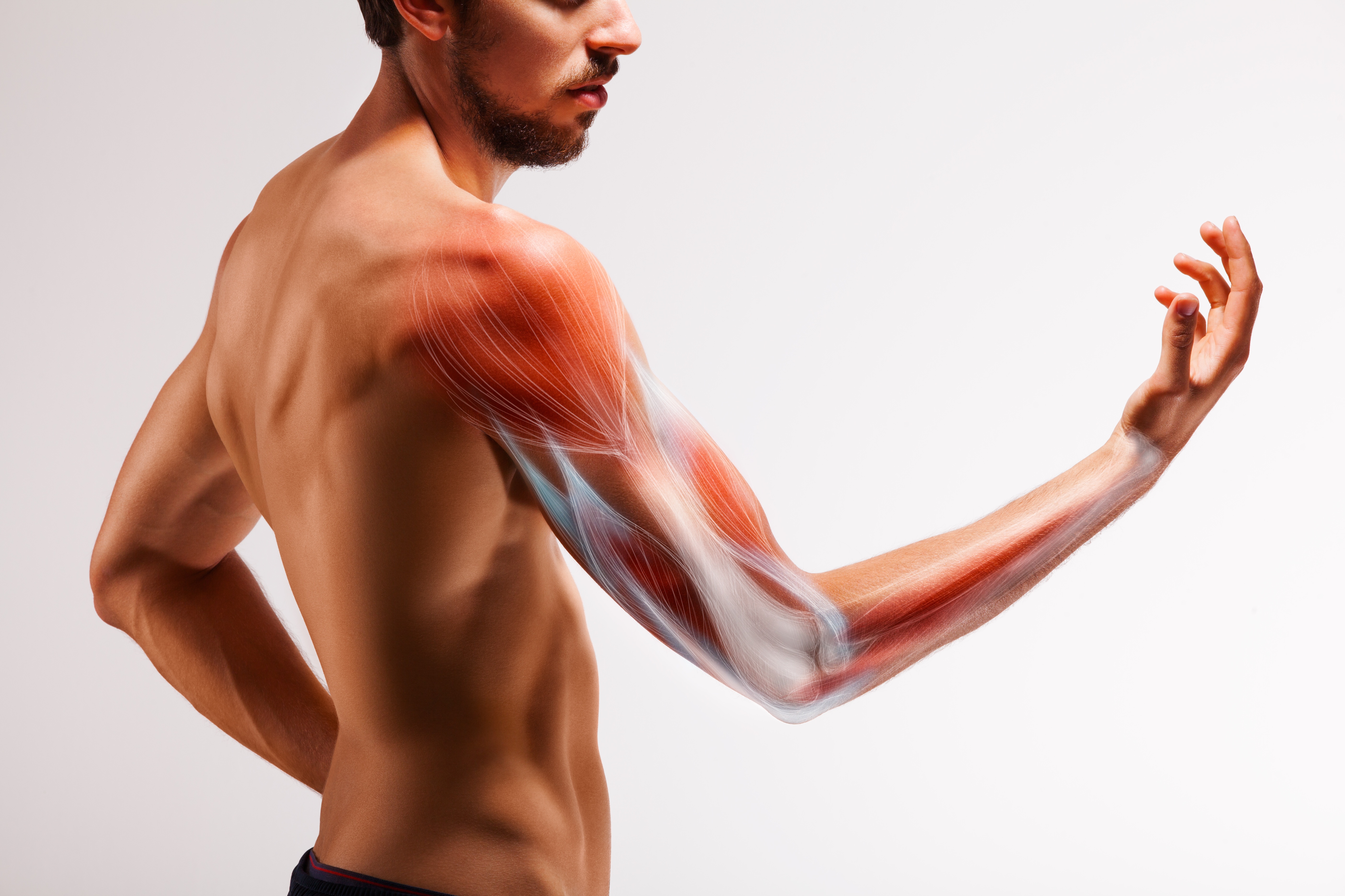 Physiotherapy services to treat Biceps Tendonitis in Toronti